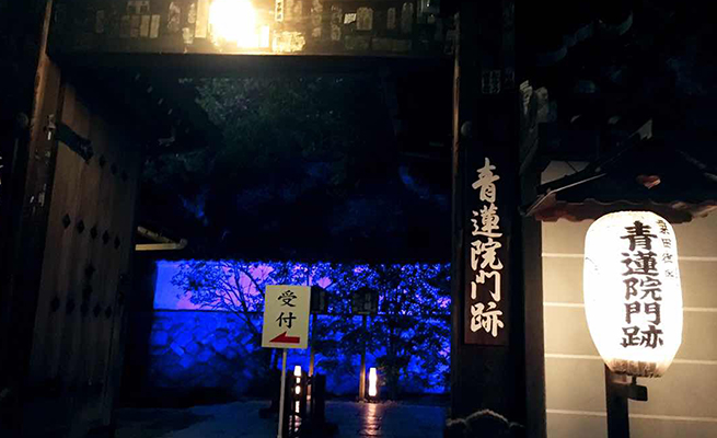 秋の京都！特別拝観ライトアップ！！