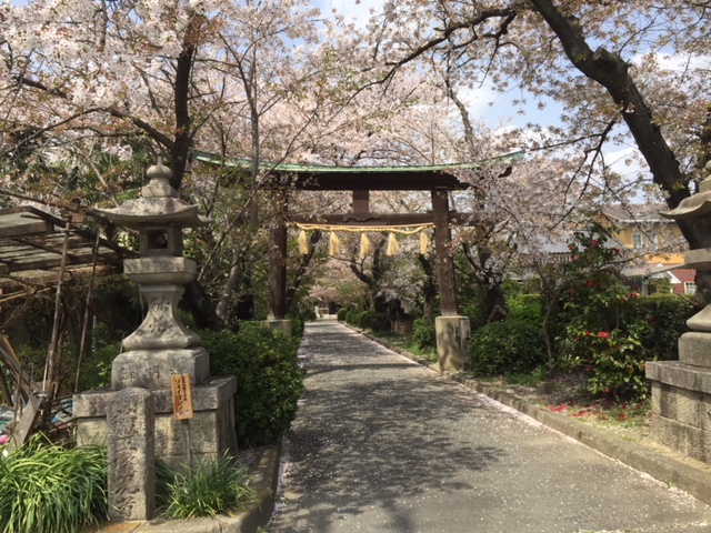 春ですね～