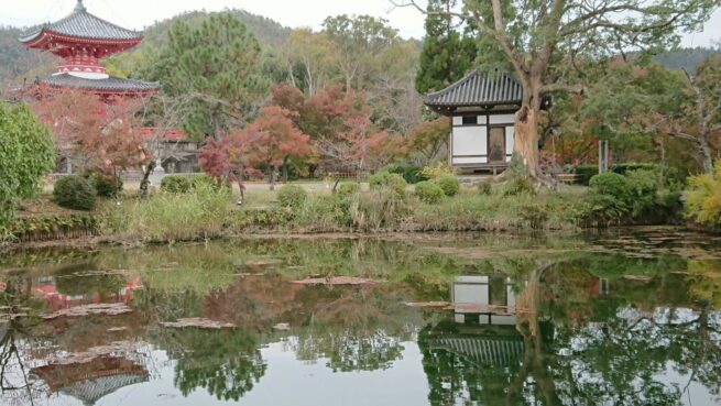 大覚寺へ行って来ました